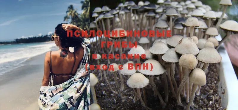 Галлюциногенные грибы MAGIC MUSHROOMS  blacksprut ONION  Нюрба 